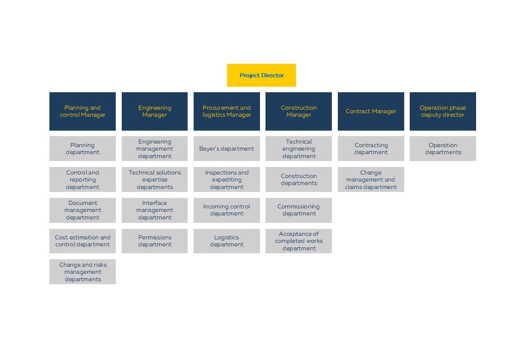 Project team organization chart at the execution phase